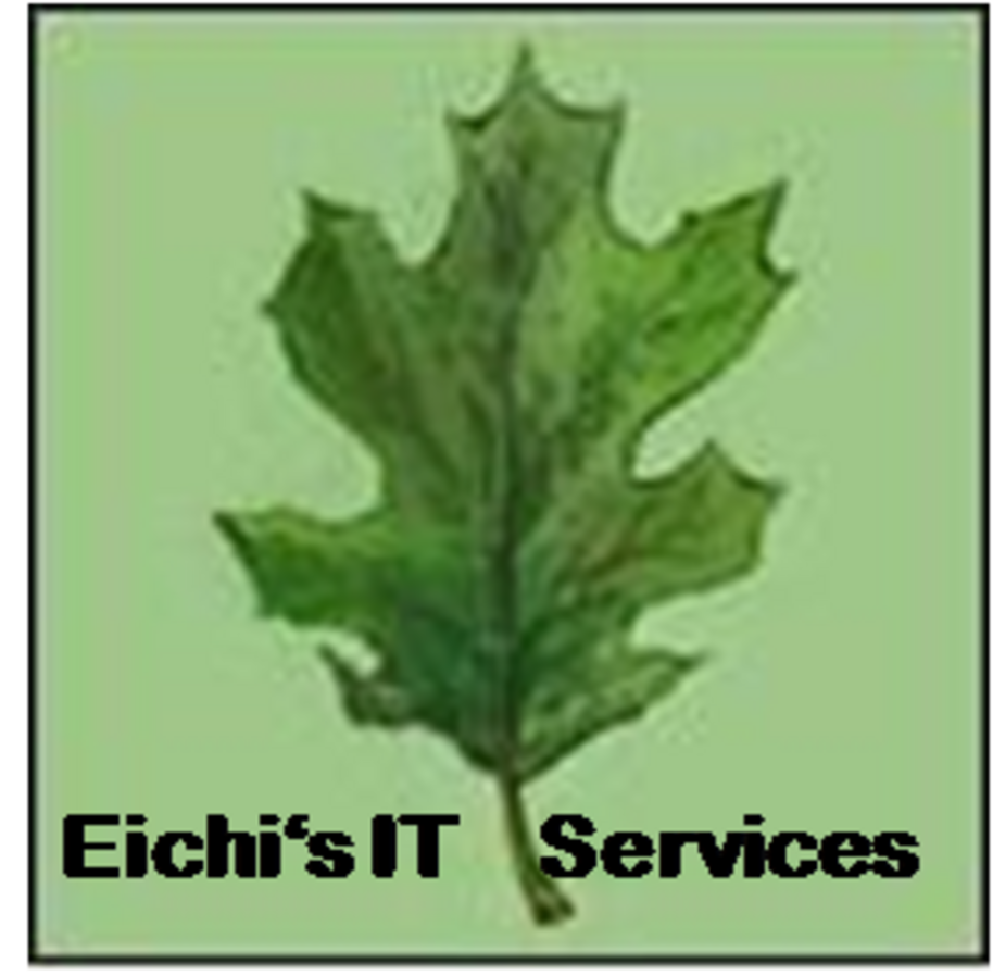 IT Services Eichenberger